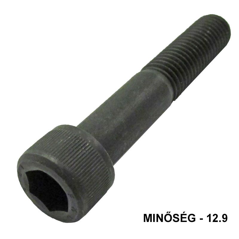 BK HENGERESFEJŰ M20*120 DIN 912 12.9 NAT. IMPORT METRIKUS CSAVAROK
