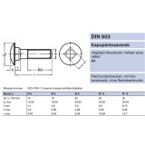 KAPUPÁNTCSAVAR M05*030 DIN 603-A2 INOX  METRIKUS CSAVAROK