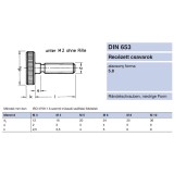 ROVÁTKOLTFEJŰ CSAVAR M06*12 HG DIN 653-5.8  ALACSONYFEJŰ IMPORT SPECIÁLIS KÖTŐELEMEK