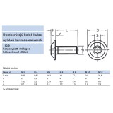 BK FGF ALÁTÉTES-PEREMES M06*30 ISO 7380AL 10.9 HORG. IMPORT METRIKUS CSAVAROK