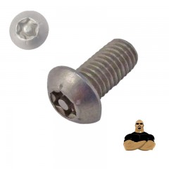 BIZTONSÁGI CSAVAR FGF M06*30 ISO 7380-1 A2 INOX TORX-CSAPOS IMPORT SPECIÁLIS KÖTŐELEMEK